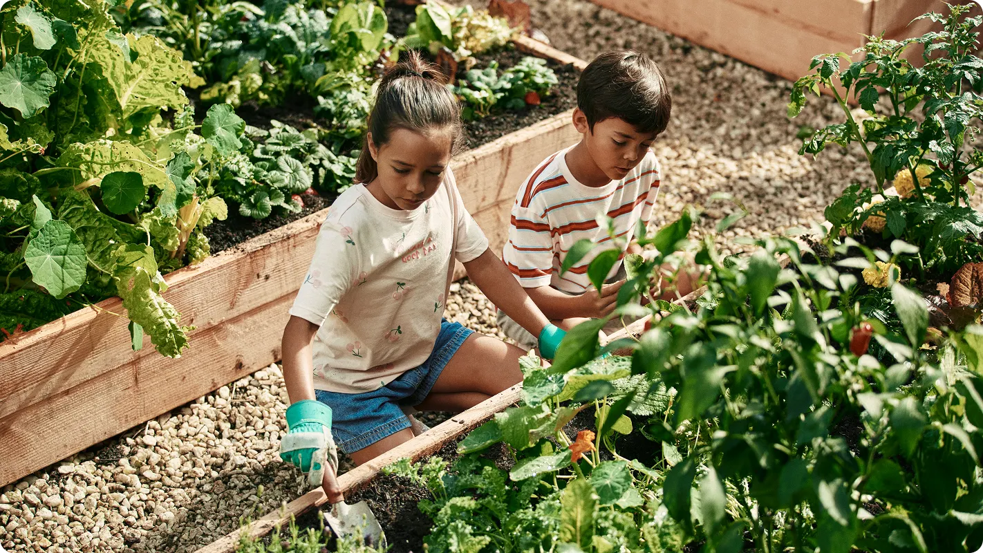 Two young kids about 8 yrs old working together in a raised plant bed