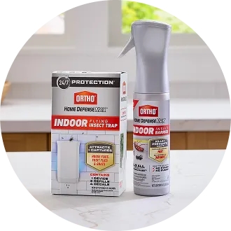 Indoor Pests