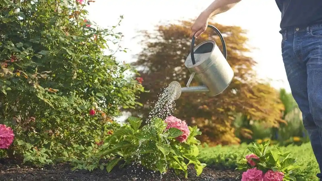Guide to Garden Watering | ScottsMiracle-Gro US Guide to Garden Watering | ScottsMiracle-Gro US