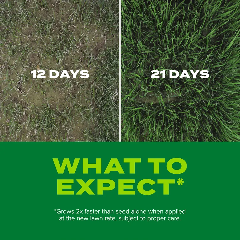 Scotts&reg; Turf Builder&reg; Rapid Grass&trade; Sun & Shade Mix image number 4.0