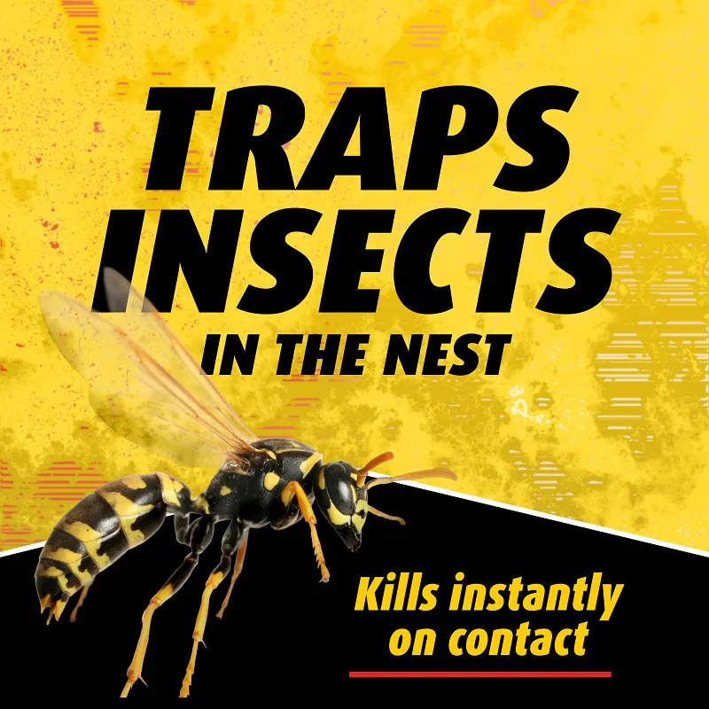 Ortho&reg; Home Defense&reg; Hornet & Wasp Killer₇ Image 2