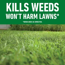 Roundup&reg; For Lawns₃ image number null