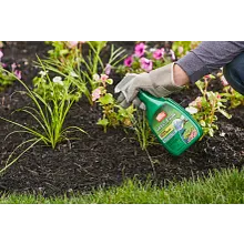Ortho&reg; Grass B Gon Garden Grass Killer image number null