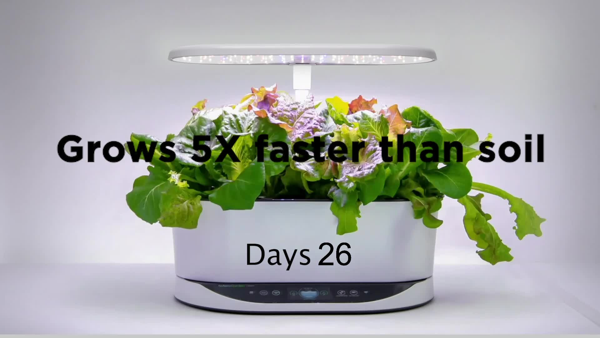 AeroGarden Bounty Basic - Thumbnail 2