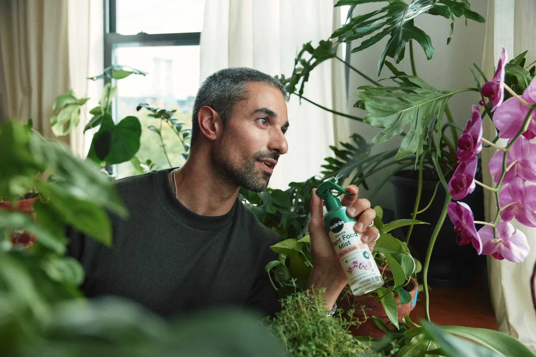 Image of a plant and plant food