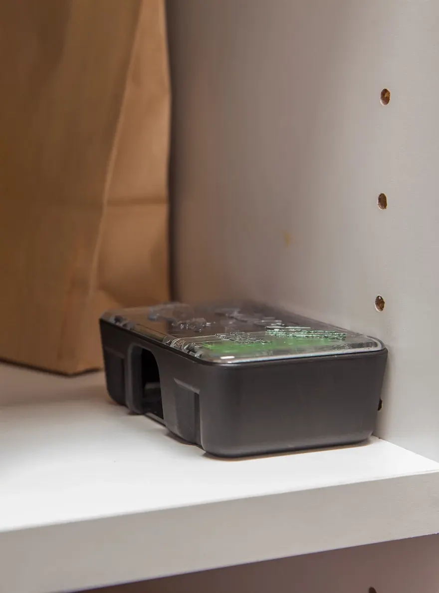a rodent bait station sitting on a pantry shelf