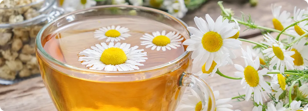 A clear glass cup filled with chamomile tea topped with floating fresh white and yellow chamomile flowers, with blooming chamomile plants soft-focused in the background.