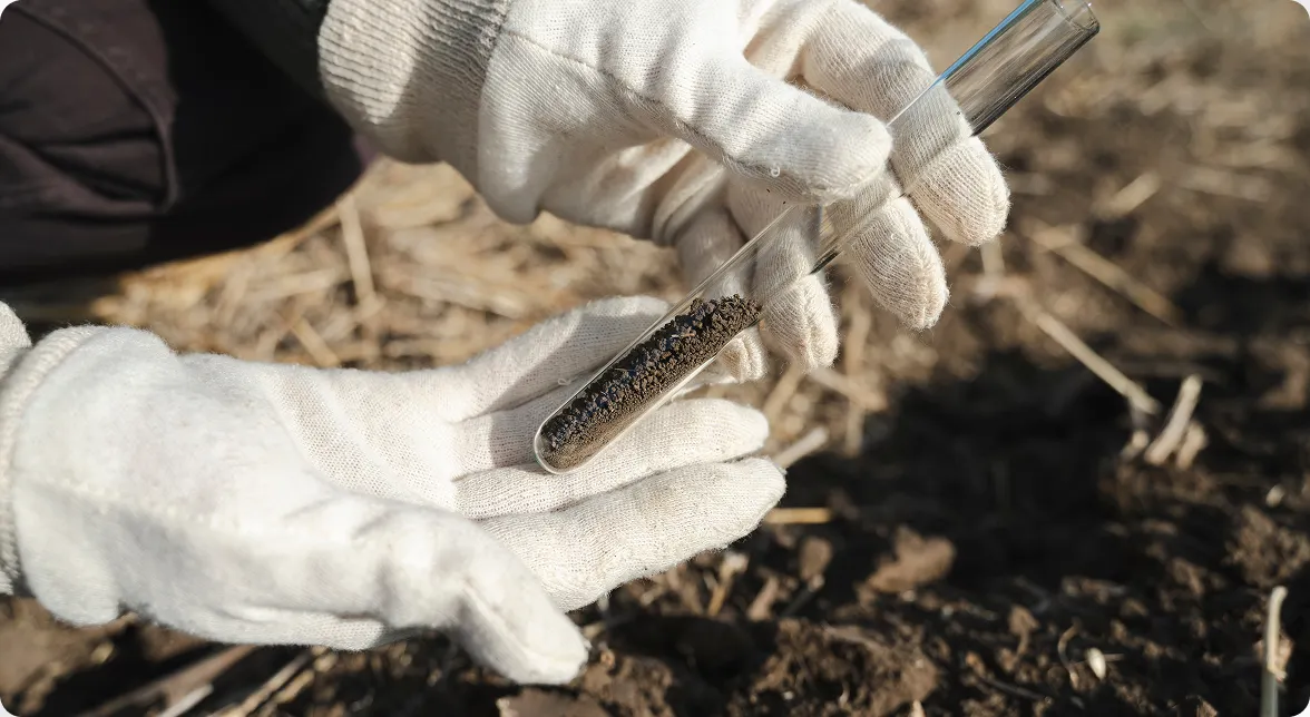Close-up of gloved hands using a small tool to scoop a soil sample from the ground.