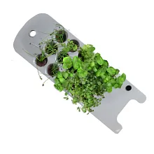 Seed Starting System for 2020 Sprout Garden image number null