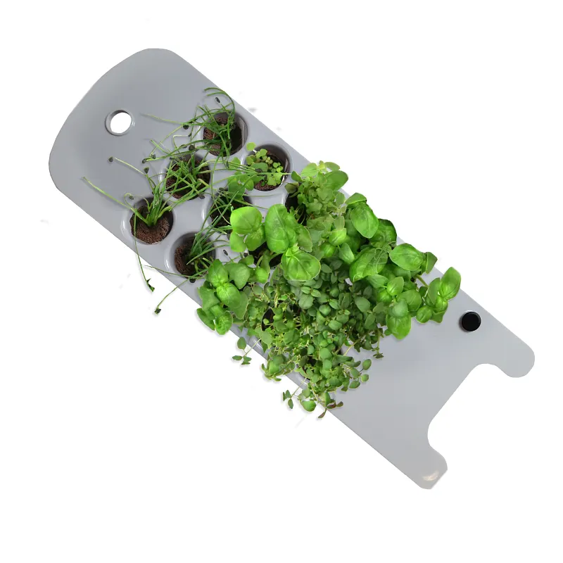 Seed Starting System for 2020 Sprout Garden image number 4.0