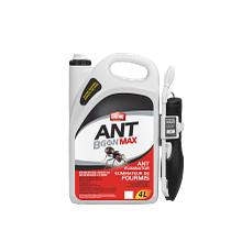 Ortho&reg; Ant B Gon&reg; MAX Ant Eliminator Ready-To-Use image number null