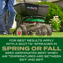 Scotts&reg; Turf Builder Rapid Grass&trade; Southern Gold&reg; Blend for Tall Fescue Lawns image number null