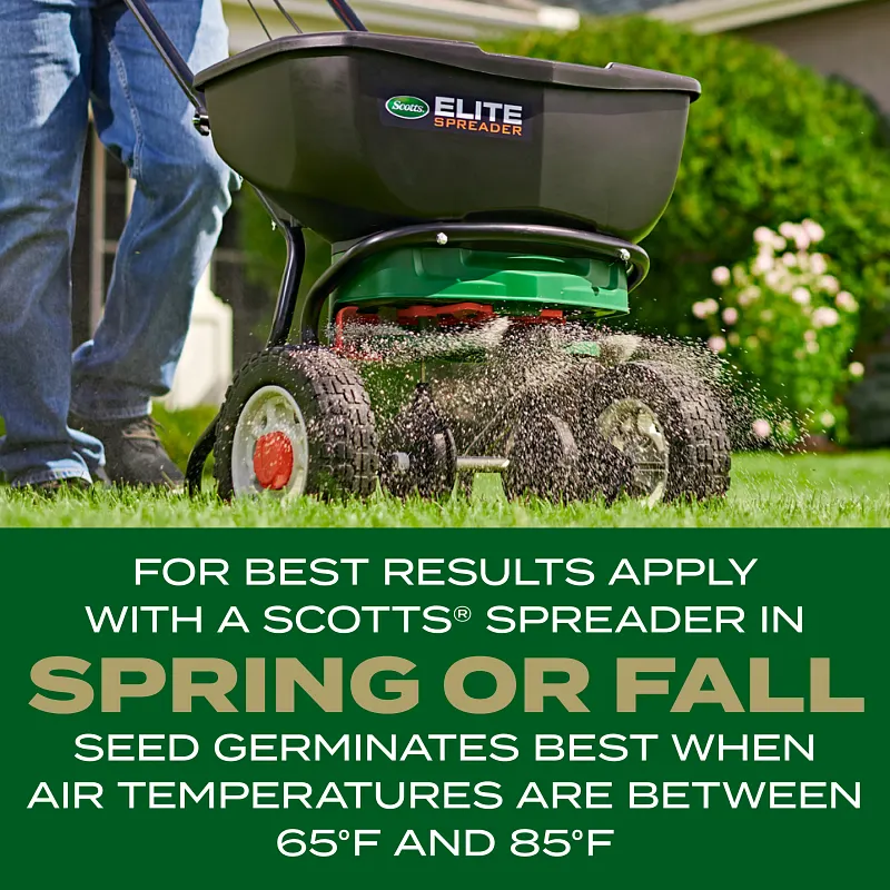 Scotts&reg; Turf Builder Rapid Grass&trade; Southern Gold&reg; Blend for Tall Fescue Lawns image number 8.0