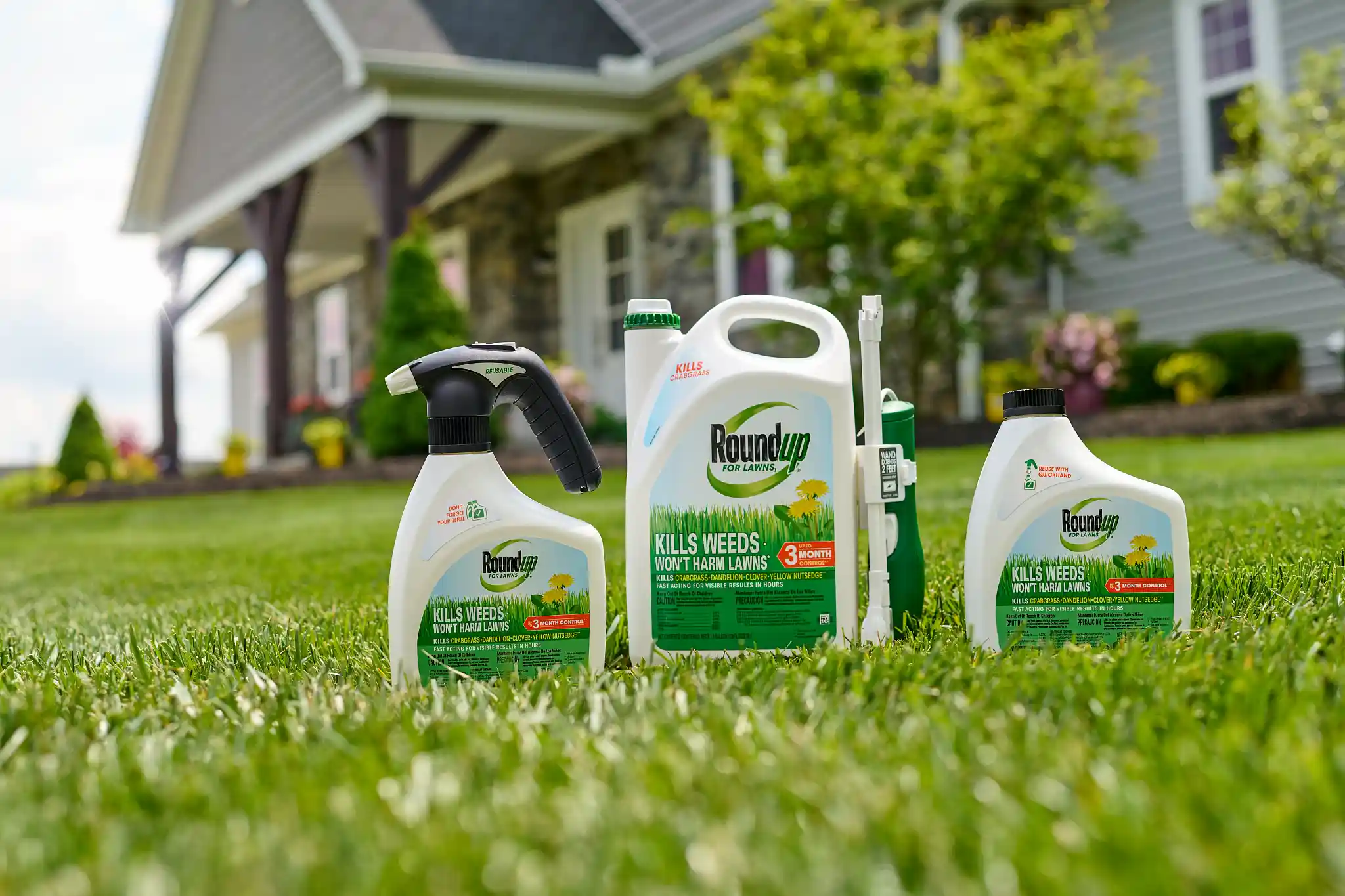 Roundup Insect Weed Control | Roundup