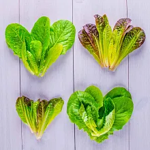 AeroGarden Mixed Romaine Seed Pod Kit image number null