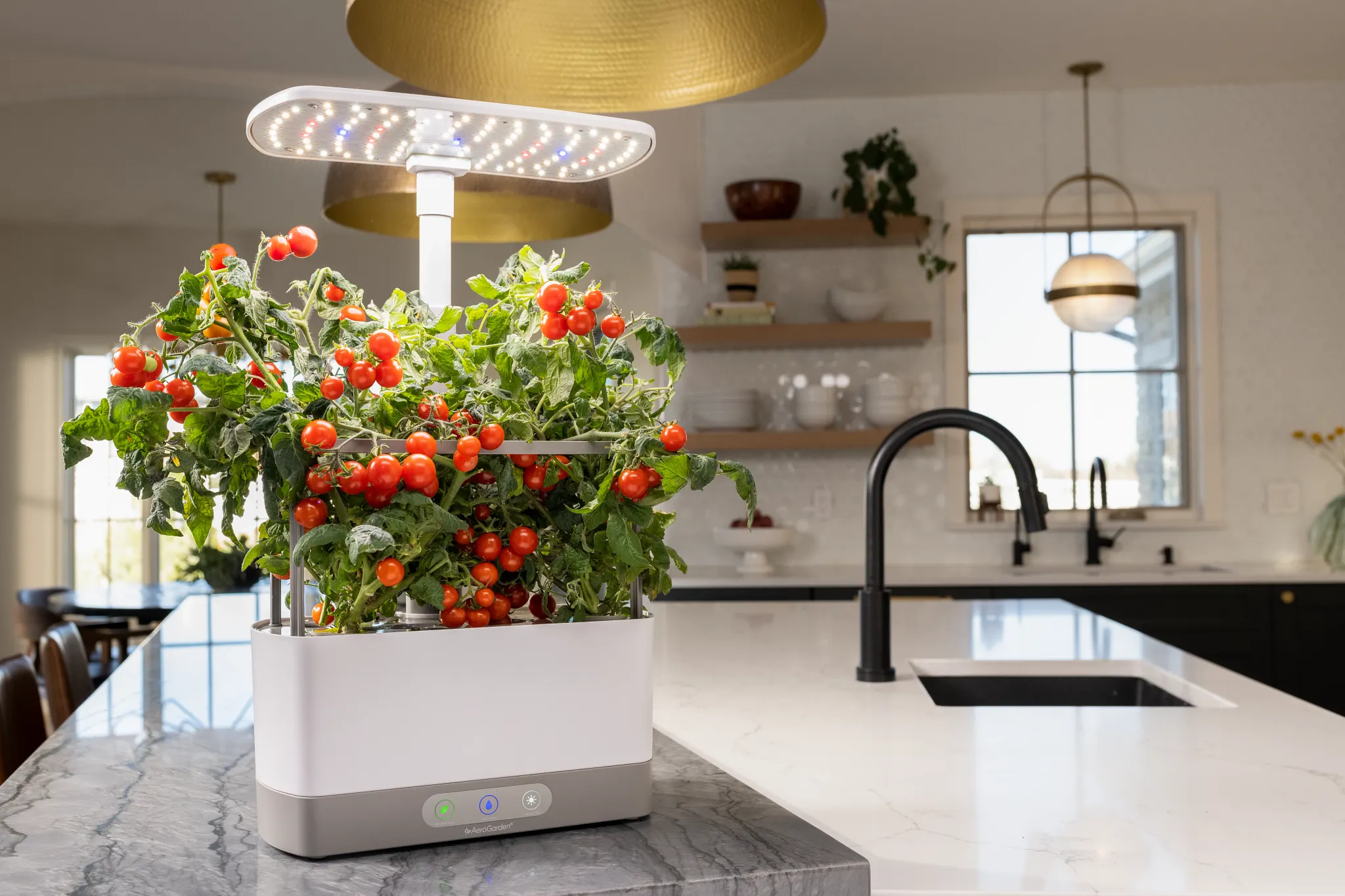an AeroGarden sits on a kitchen counter with ripe cherry tomatoes growing in it.