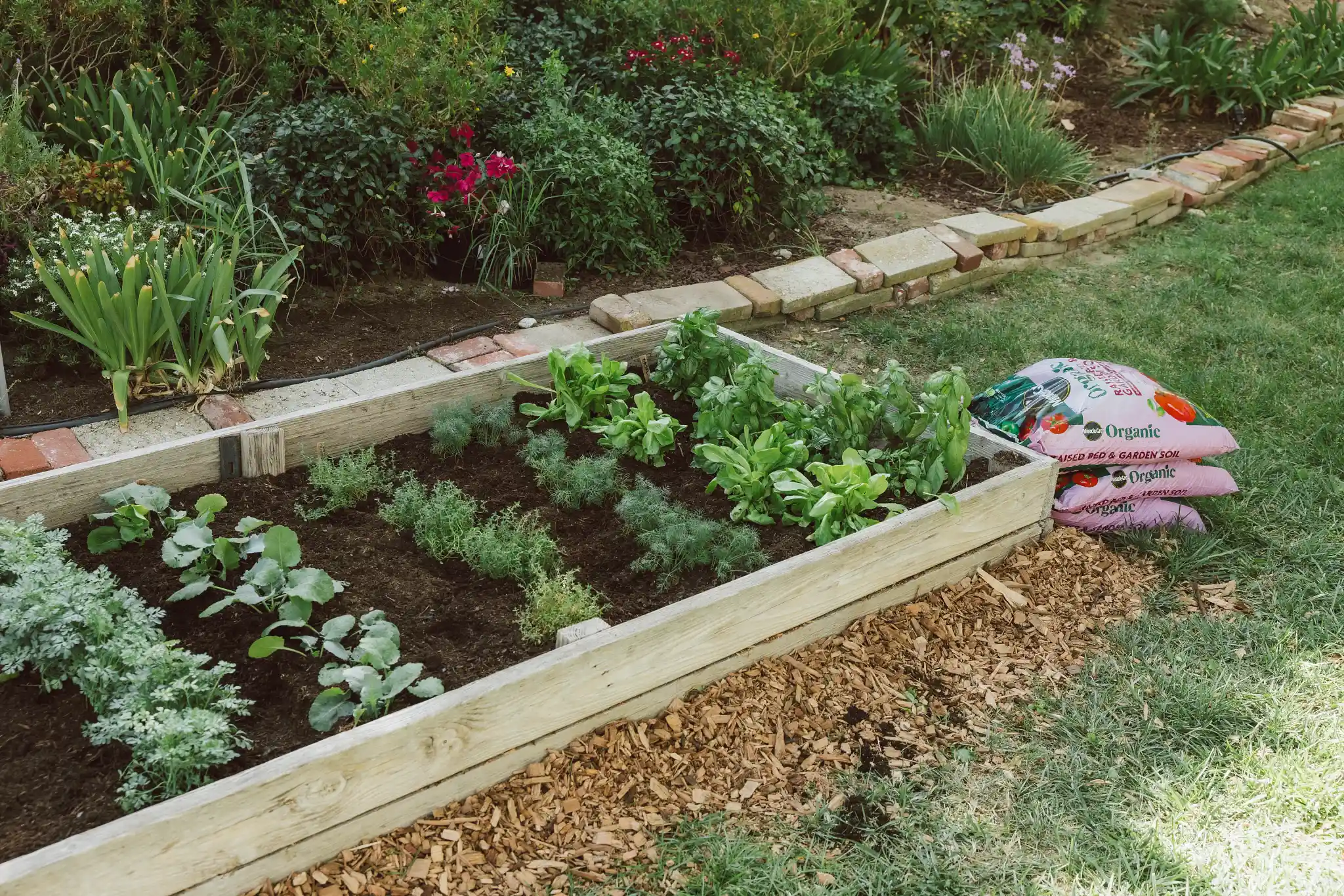 What Is the Best Soil to Use for Container Gardening?