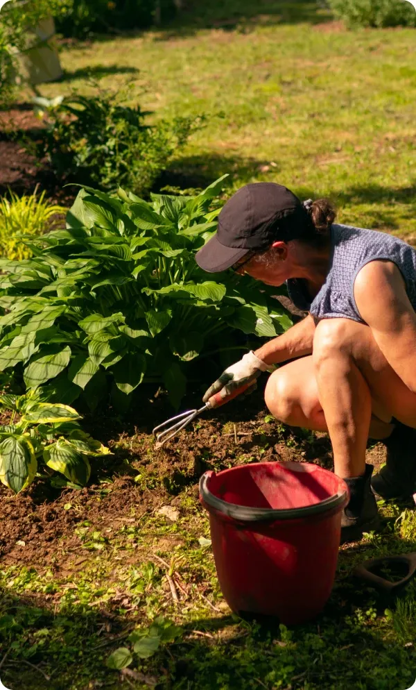 woman in a baseball hat raking through an in ground garden bed