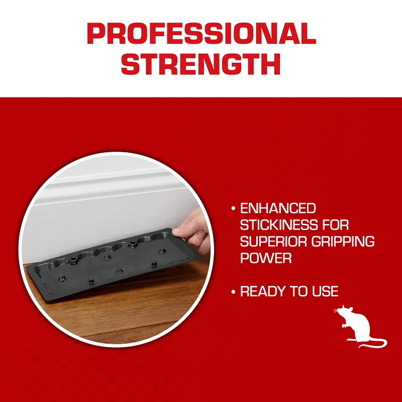 Tomcat&reg; Glue Traps Rat Size with Eugenol for Enhanced Stickiness Image 3