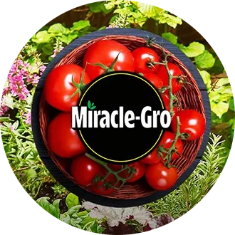 miracle-gro logo