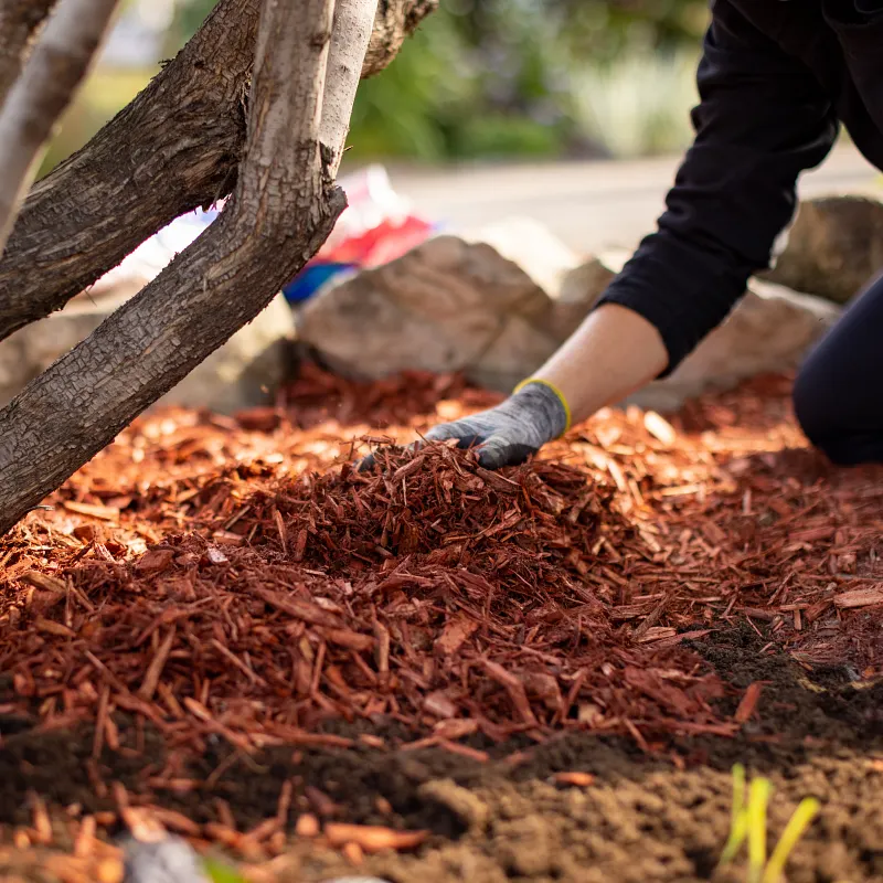 Nature Scapes&reg; Colour Enhanced Mulch - Sierra Red image number 5.0