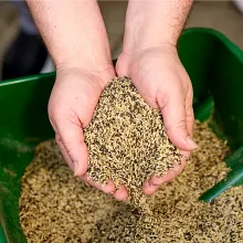 Turf Builder&reg; Overseeding Mix Seed And Starting Fertilizer image number null