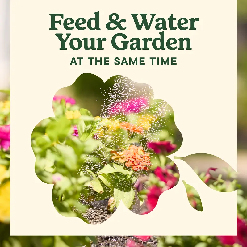 Miracle-Gro&reg; LiquaFeed&reg; All Purpose Plant Food image number 6.0