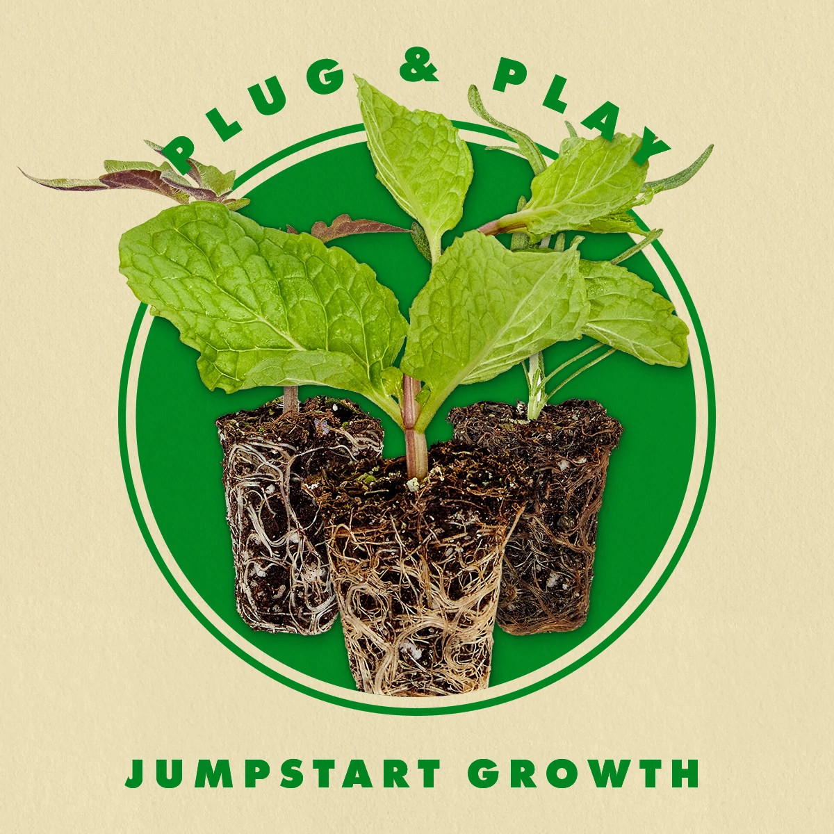 Bonnie Plants Plugs Guide