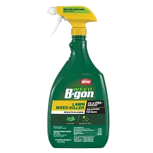 Ortho&reg; Weed B-Gon&trade; Lawn Weed Killer Ready-To-Use image number null