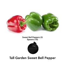 AeroGarden Sweet Bell Peppers Seed Pod Kit image number null