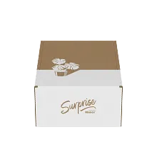 Surprise crafted by Miracle-Gro&reg; Fibermix image number null