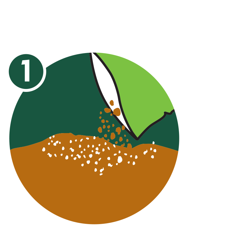 gif of planting seed starting