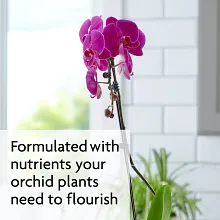 Miracle-Gro Orchid Bundle Pack image number null