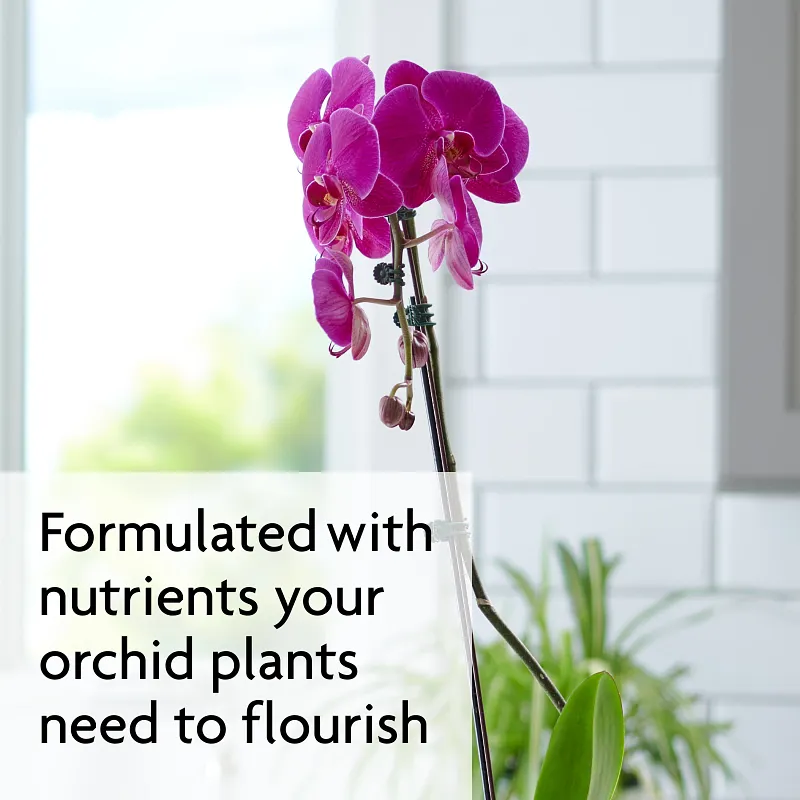 Miracle-Gro Orchid Bundle Pack image number 6.0