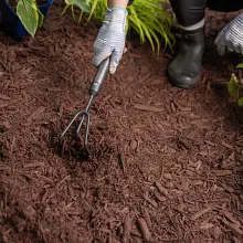 Nature Scapes&reg; Colour Enhanced Mulch - Deep Forest Brown image number null