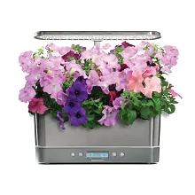 AeroGarden Cascading Petunias Seed Pod Kit image number null