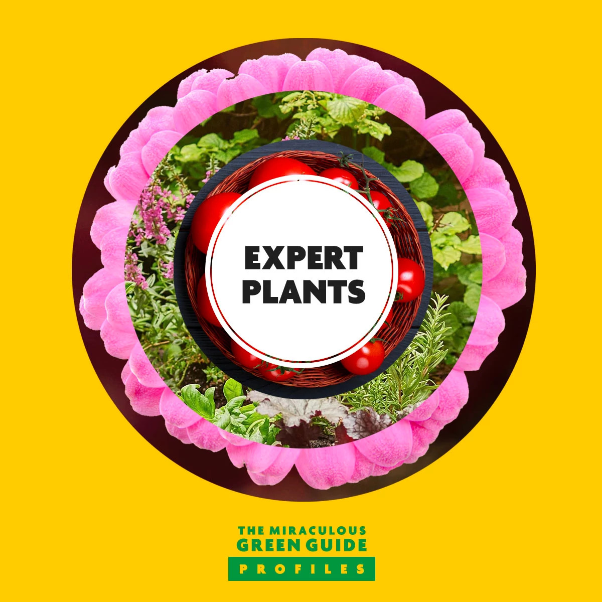 Expert Plants 