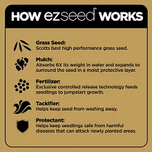 Scotts&reg; EZ Seed&reg; Patch & Repair Bermudagrass image number null