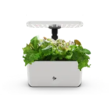 Harvest Lite image number null