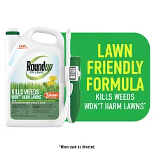 Roundup For Lawns₁ Ready-To-Use with Extend Wand image number null
