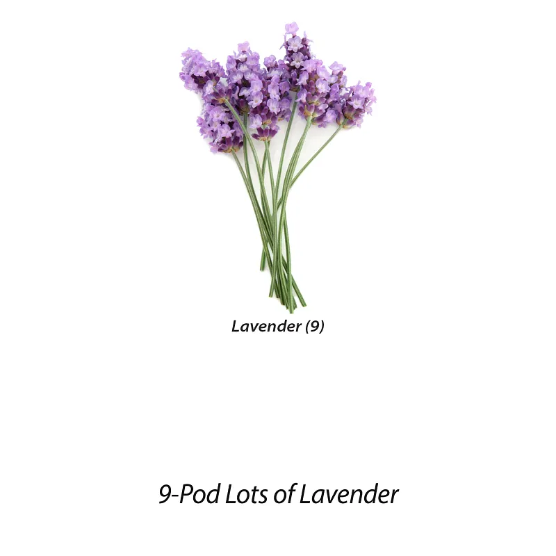 AeroGarden Lots of Lavender Seed Pod Kit image number 4.0