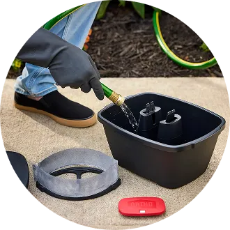 Outdoor Pests