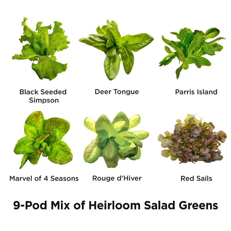 AeroGarden Heirloom Salad Greens Seed Pod Kit image number 2.0