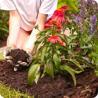 Garden Soil