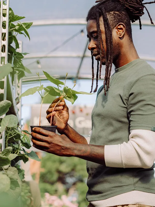 Man holding a plant