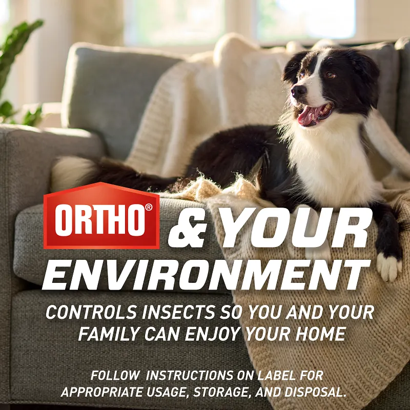 Ortho Home Defense Max Indoor Insect Barrier with 360 Sprayer image number 9.0