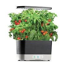 AeroGarden Salsa Garden Seed Pod Kit image number null