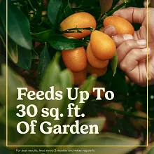 Miracle-Gro&reg; Shake 'N Feed&reg; Tomato, Fruit & Vegetable Plant Food image number null