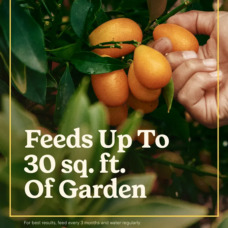 Miracle-Gro&reg; Shake 'N Feed&reg; Tomato, Fruit & Vegetable Plant Food image number 3.0