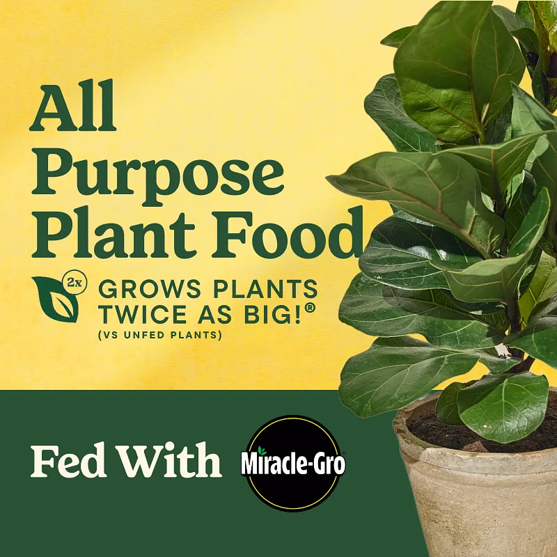Miracle-Gro&reg; LiquaFeed&reg; All Purpose Plant Food image number 2.0